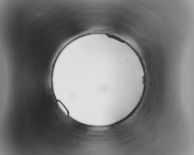 X0000096161296200802151407