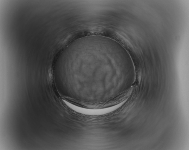 X0000096161298200802151406