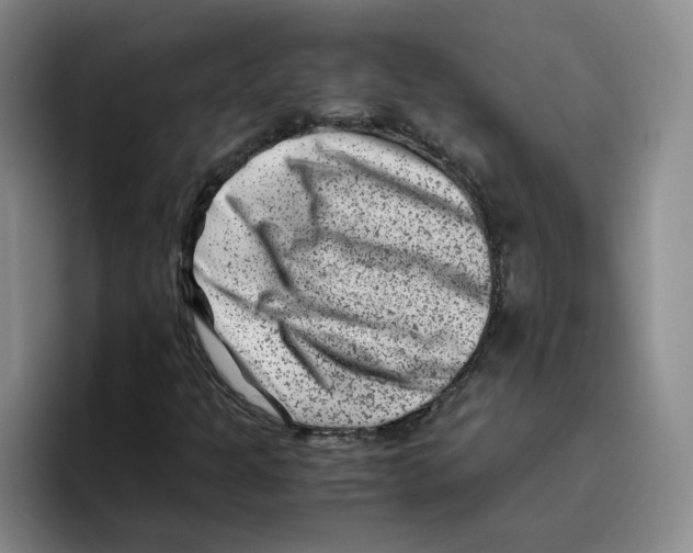 X0000096161301200802151406