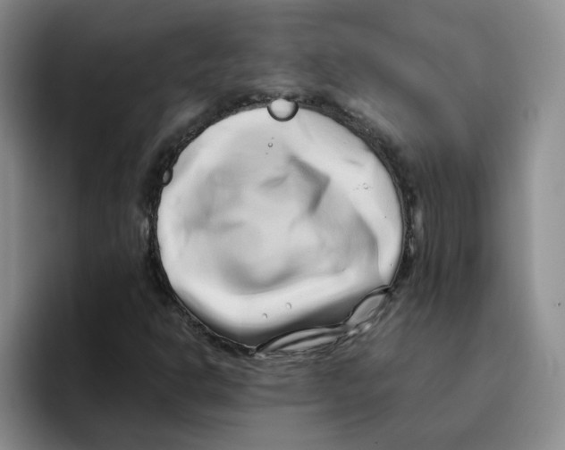 X0000096161302200802151406