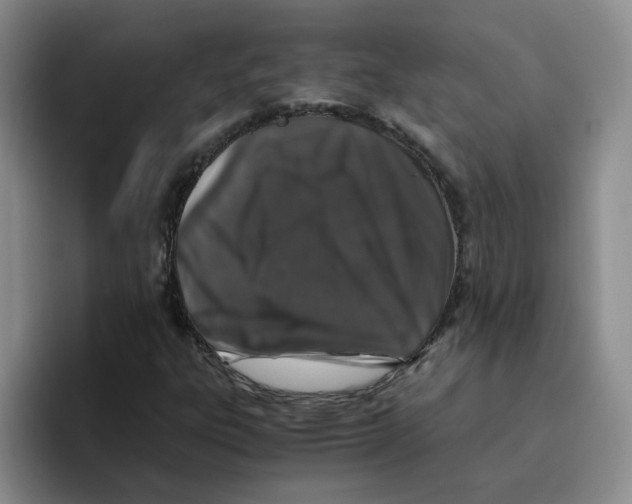 X0000096161303200802151406