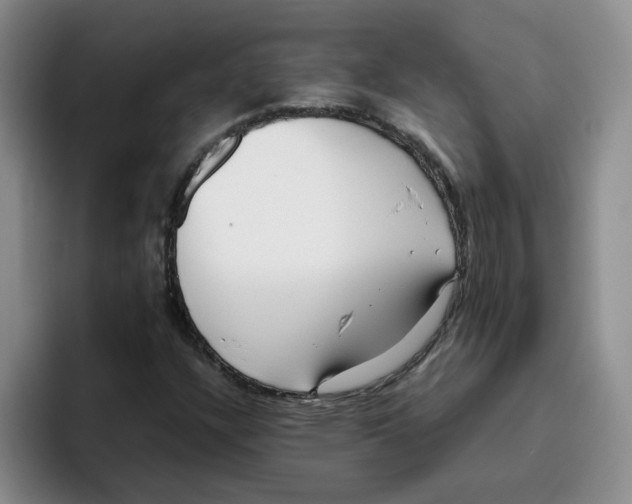 X0000096161304200802151406