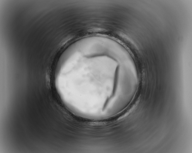 X0000096161305200802151406