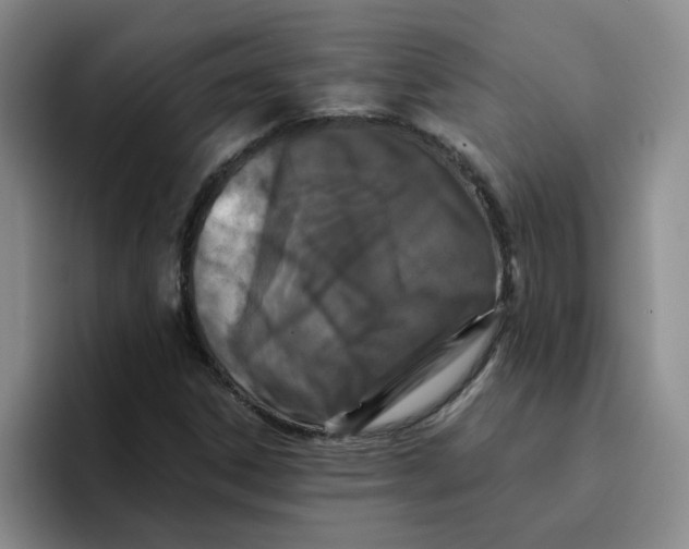 X0000096161306200802151406