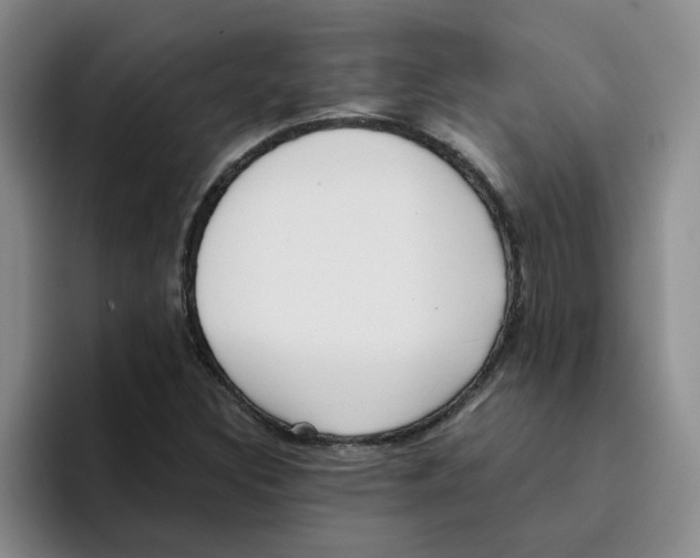 X0000096161308200802151406