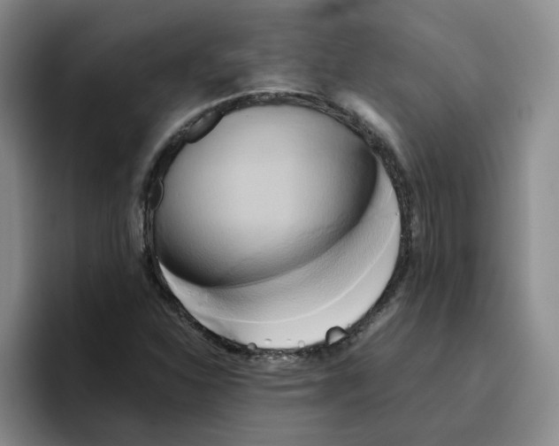 X0000096161310200802151406