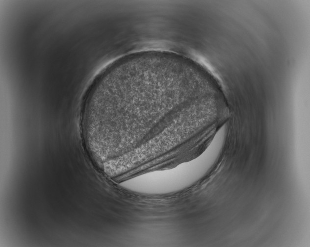 X0000096161312200802151406