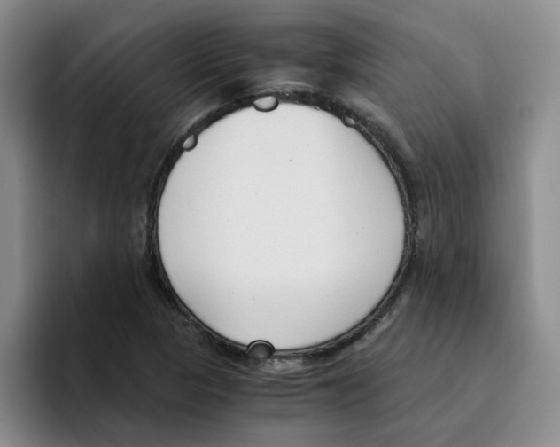 X0000096161313200802151406