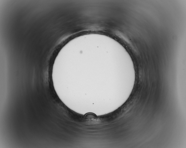 X0000096161315200802151406