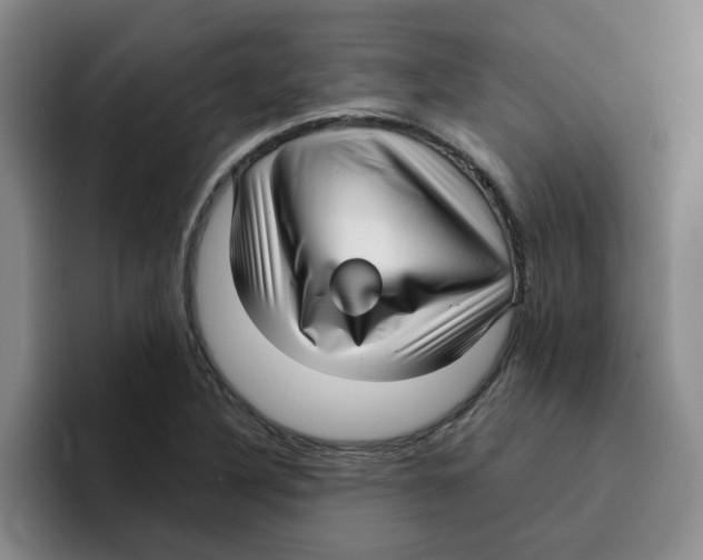 X0000096161316200802151407