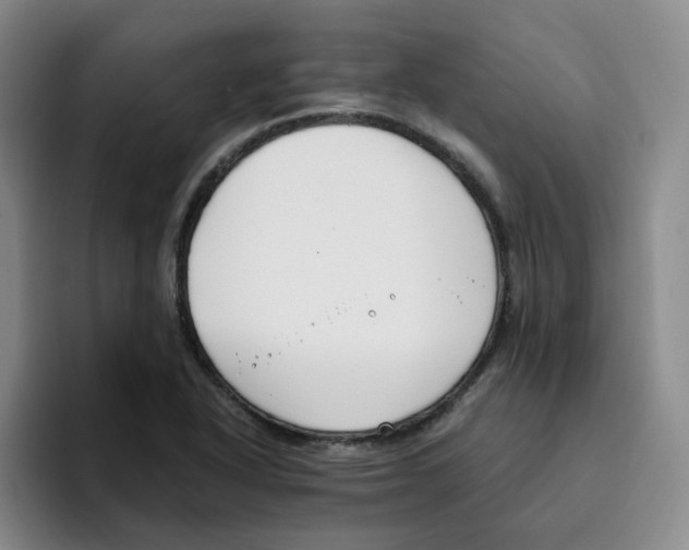 X0000096161318200802151407