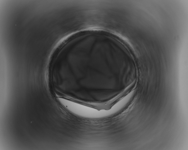 X0000096161319200802151407