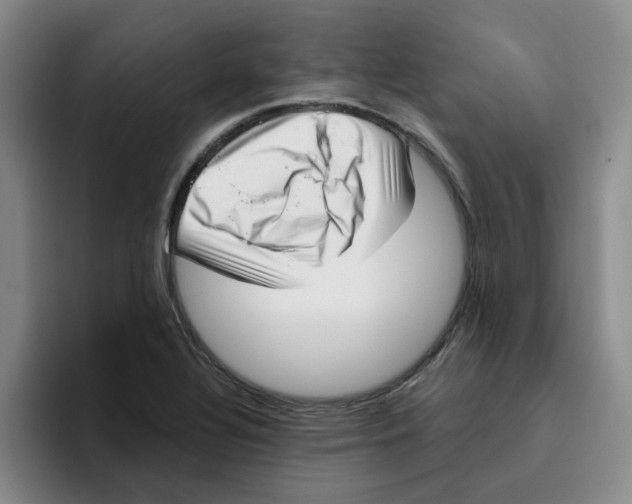 X0000096161320200802151407