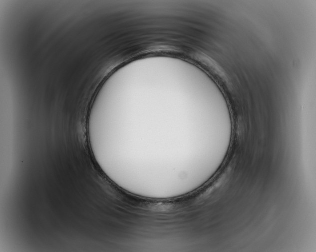 X0000096161321200802151407