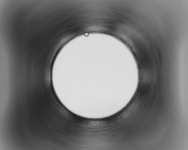 X0000096161322200802151407