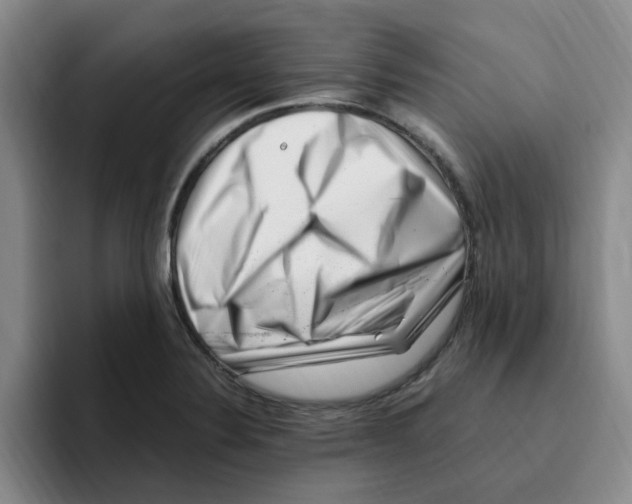 X0000096161324200802151407