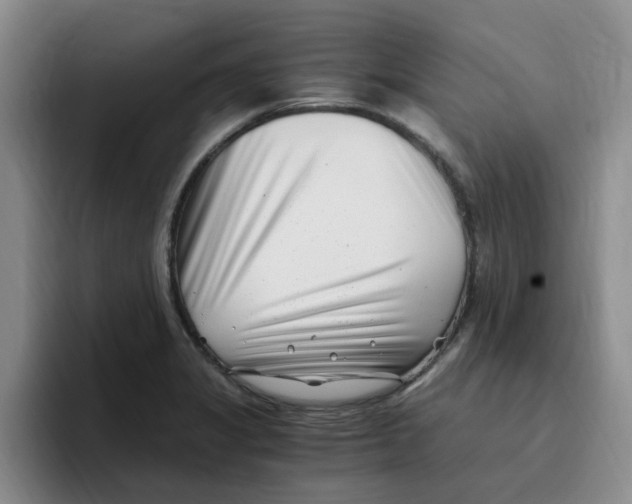 X0000096161325200802151407