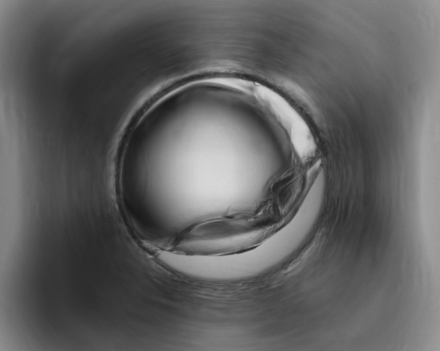 X0000096161326200802151407