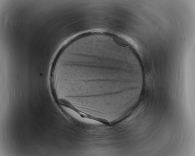 X0000096161327200802151407