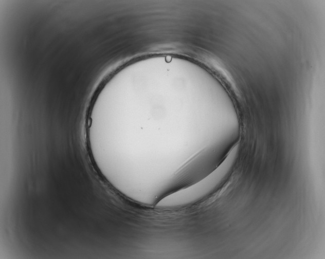 X0000096161328200802151407