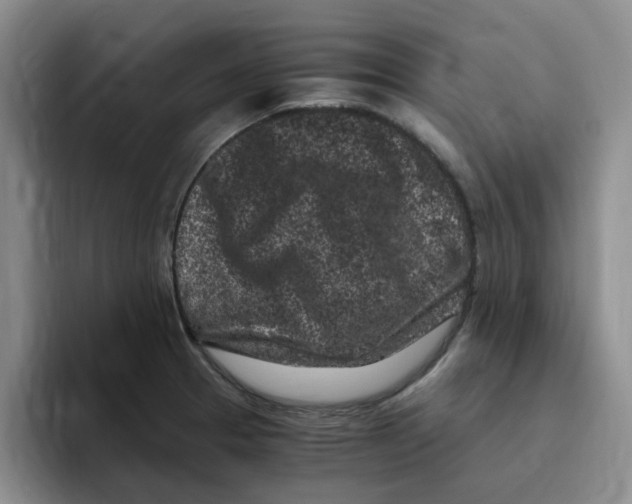 X0000096161329200802151407