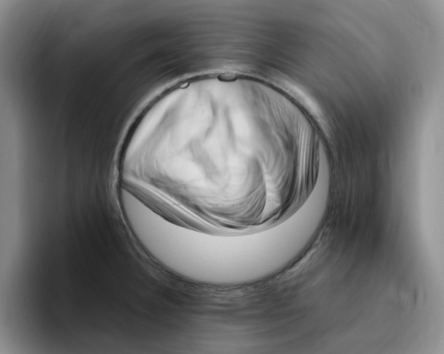 X0000096161332200802151407