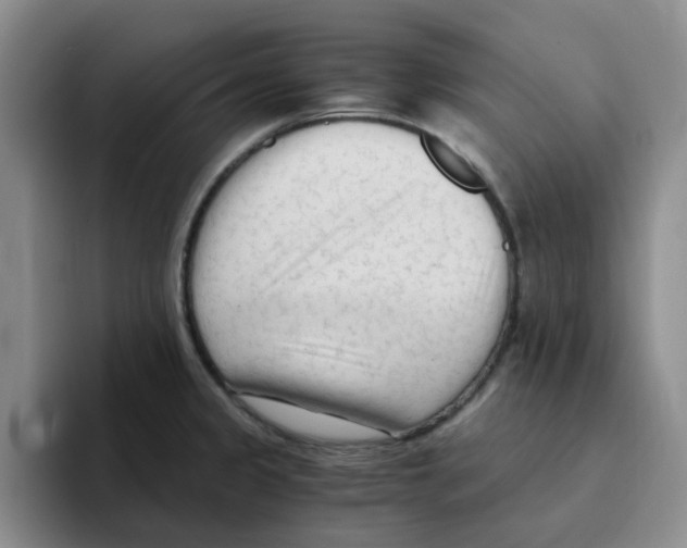 X0000096161333200802151407