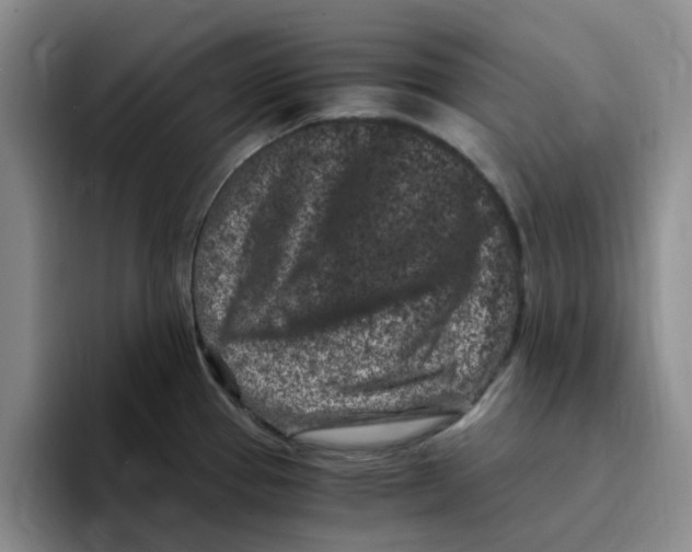 X0000096161337200802151407