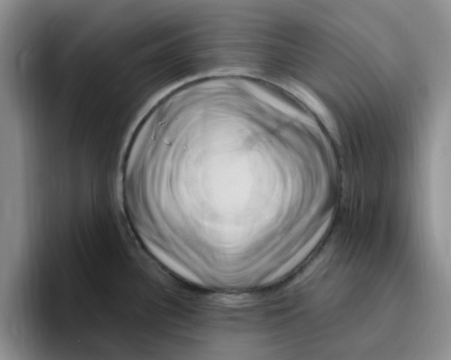 X0000096161340200802151407