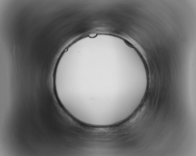 X0000096161341200802151407