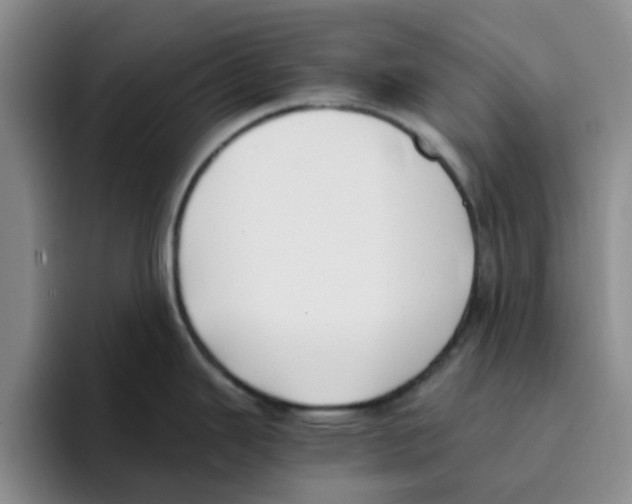 X0000096161343200802151407