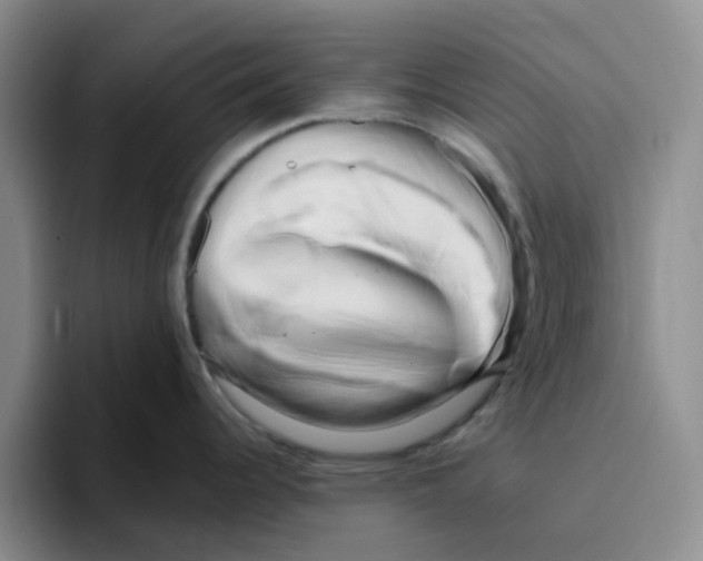 X0000096161344200802151407