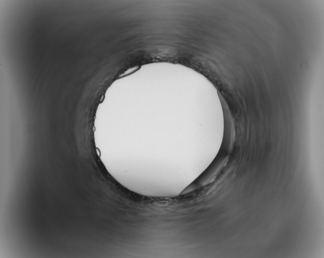 X0000096161345200802151406