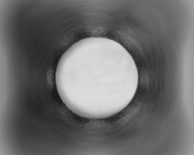 X0000096161346200802151406