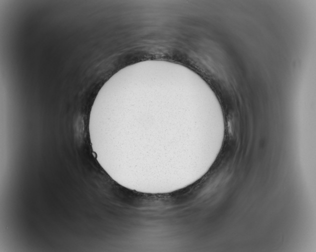 X0000096161347200802151406