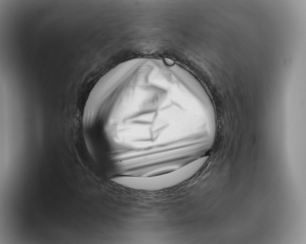 X0000096161349200802151406