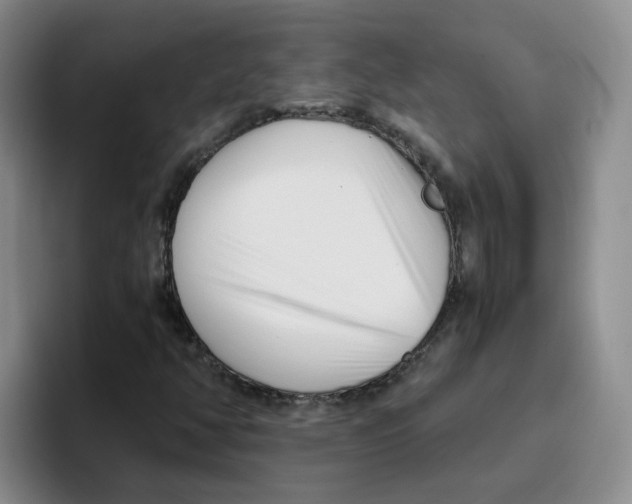 X0000096161350200802151406