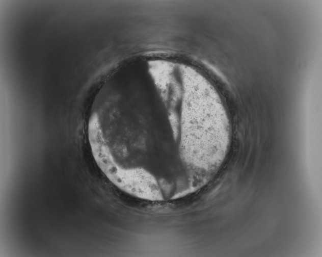 X0000096161351200802151406