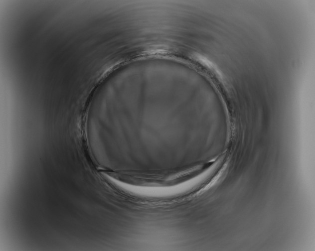 X0000096161353200802151406