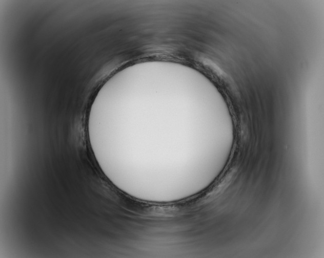 X0000096161354200802151406