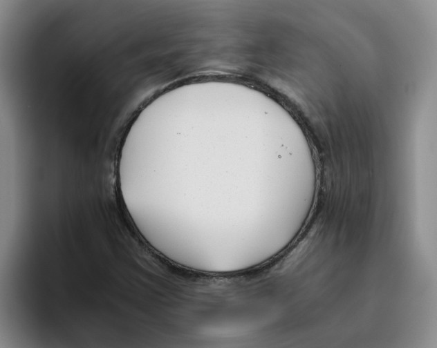 X0000096161355200802151406