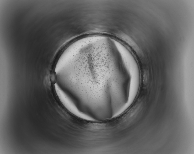 X0000096161356200802151406