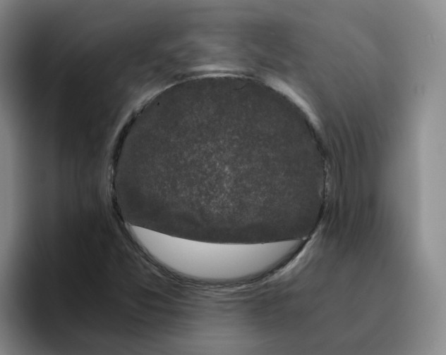 X0000096161357200802151406