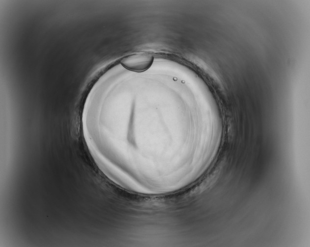 X0000096161358200802151406