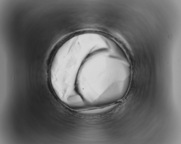 X0000096161360200802151406