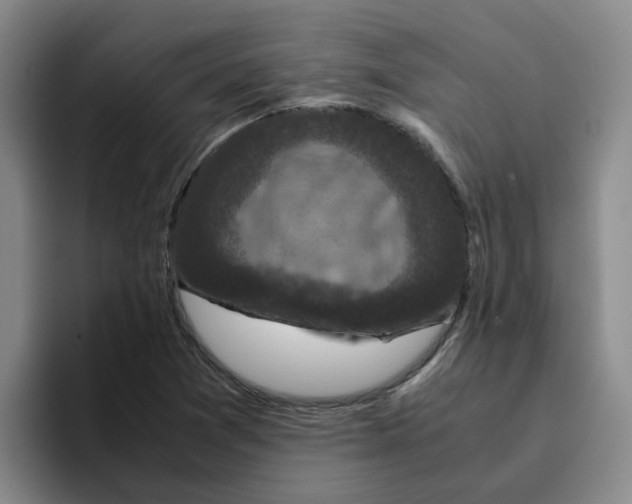 X0000096161361200802151406