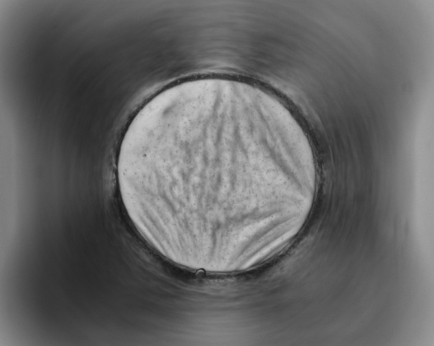 X0000096161363200802151406