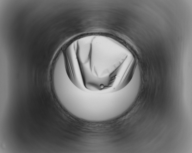 X0000096161364200802151406