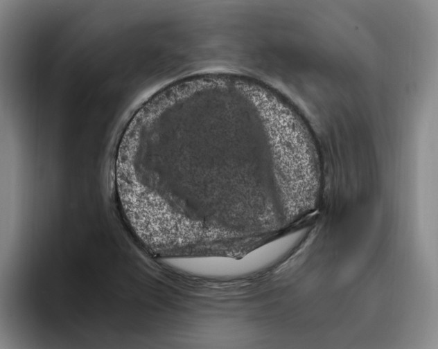 X0000096161367200802151406