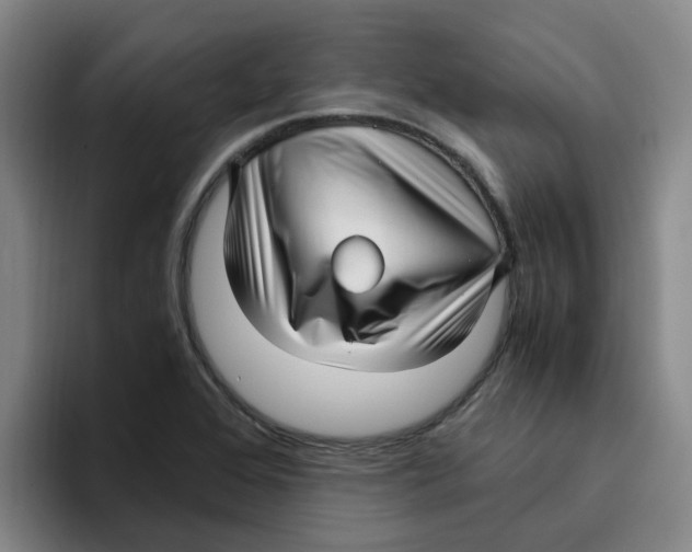 X0000096161368200802151406